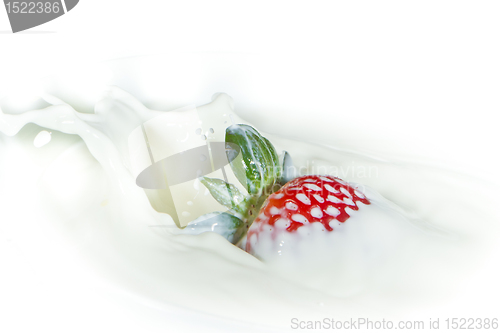 Image of strawberry splashing into milk