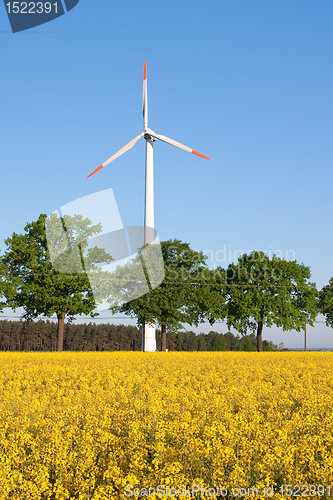 Image of windmill  farm in the rape field