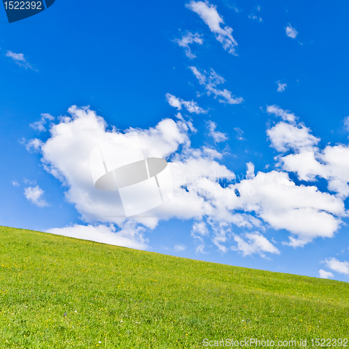 Image of green field