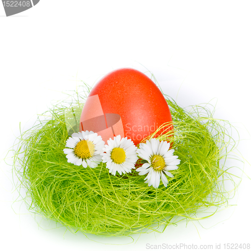 Image of easter egg in nest