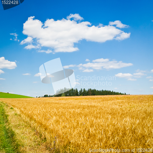 Image of agriculture landscape