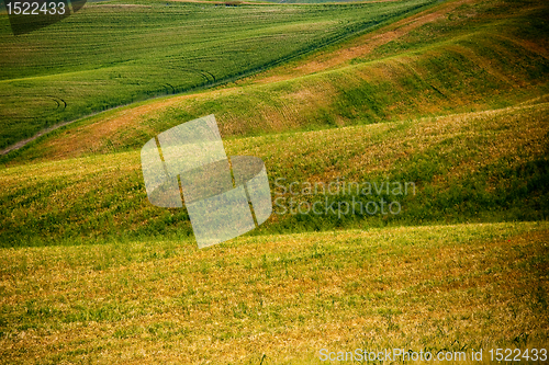 Image of Typical Tuscan landscape