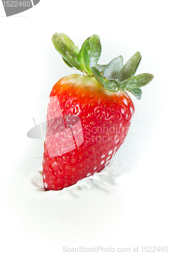 Image of strawberry splashing into milk