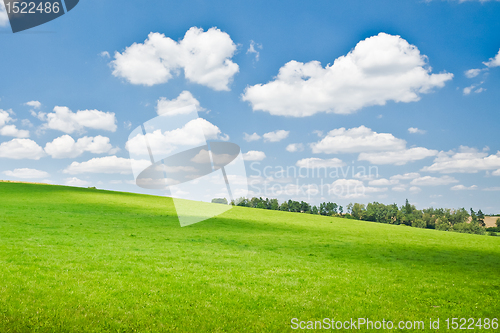 Image of agriculture landscape