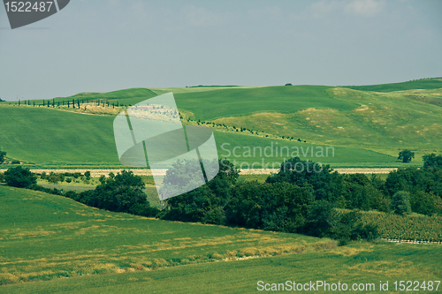 Image of Typical Tuscan landscape