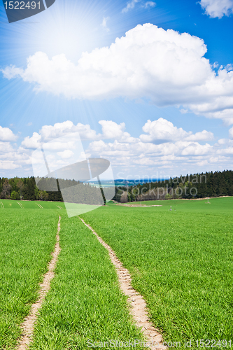 Image of green field