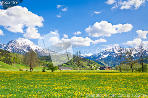 Image of alpine landscape
