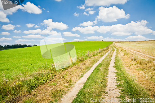 Image of agriculture landscape