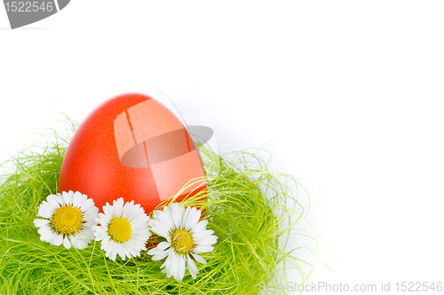 Image of easter egg in nest