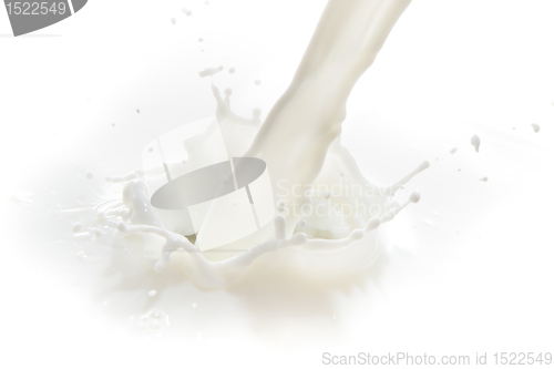 Image of milk splash