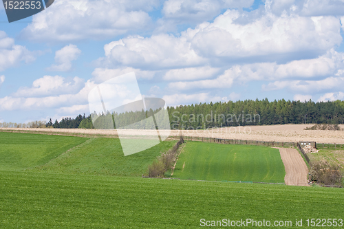 Image of green field