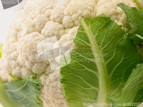 Image of cauliflower