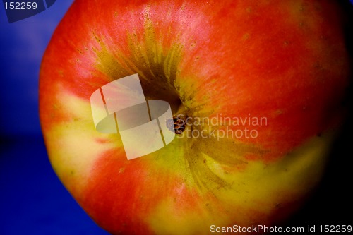 Image of Red apple