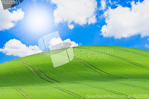 Image of green field