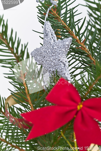 Image of Christmas tree decorated
