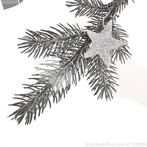 Image of Christmas tree with star