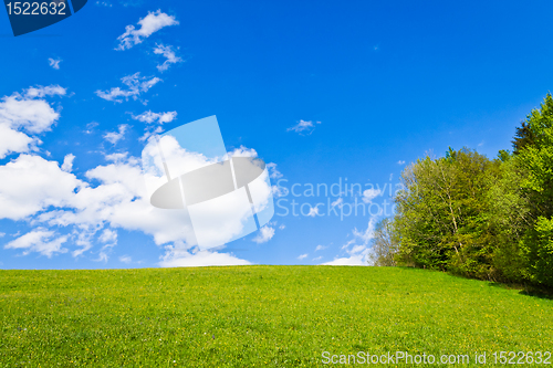 Image of green field