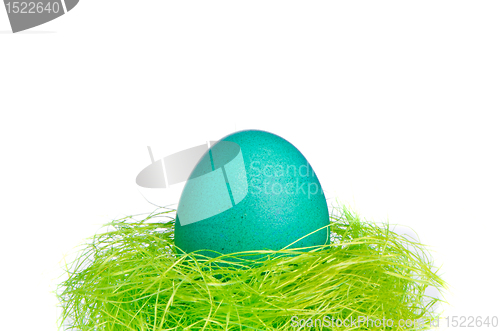 Image of easter egg in nest
