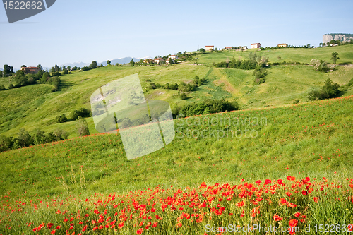 Image of Typical Tuscan landscape