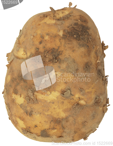 Image of potato 