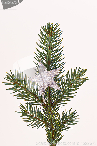 Image of Christmas tree with star
