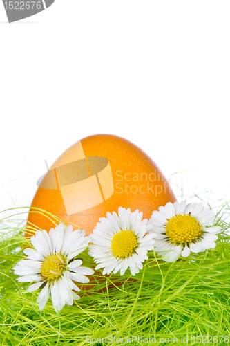 Image of easter egg in nest