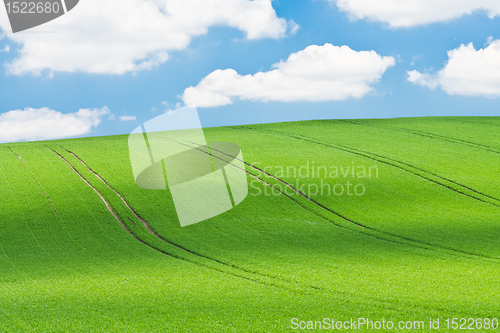 Image of green field