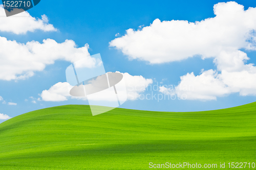 Image of green field