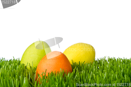 Image of easter eggs in grass