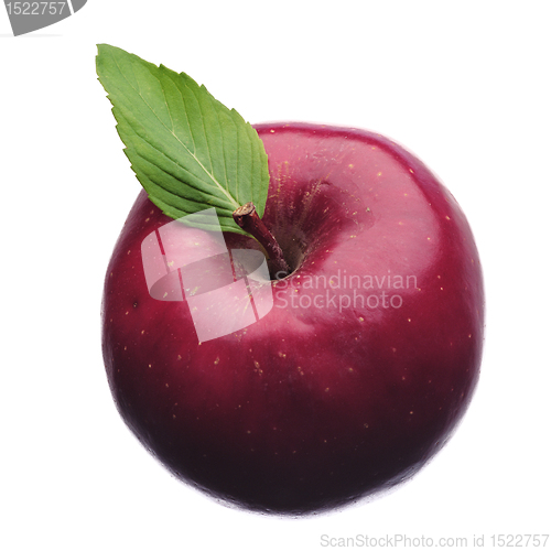 Image of fresh apple