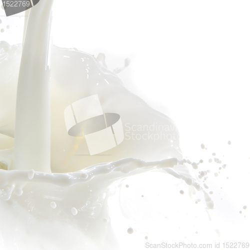 Image of milk splash