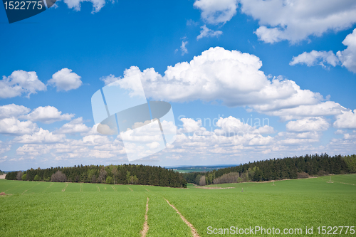 Image of green field