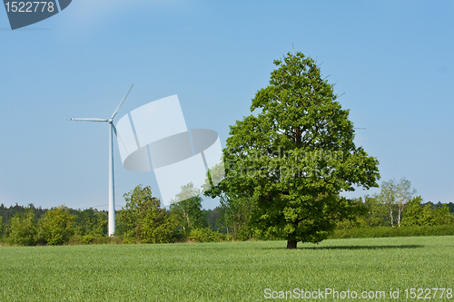 Image of windmill  farm