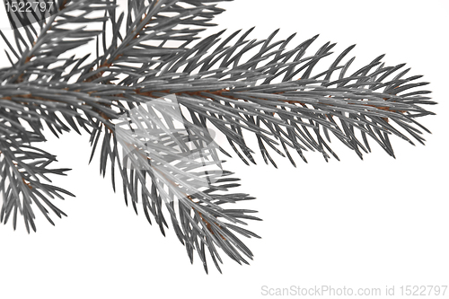 Image of Christmas tree decoration