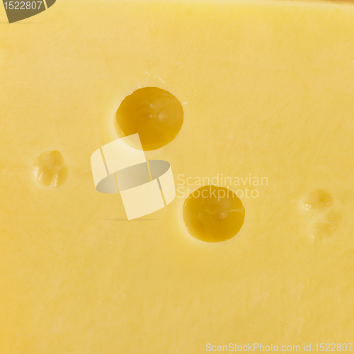 Image of cheese