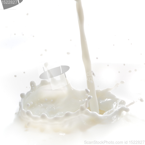 Image of milk splash