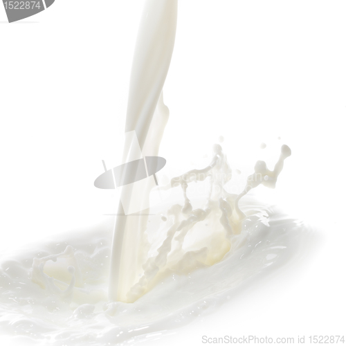 Image of milk splash