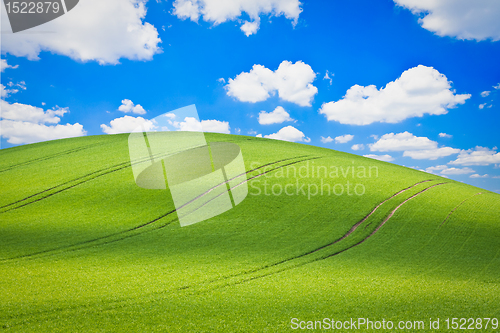 Image of green field