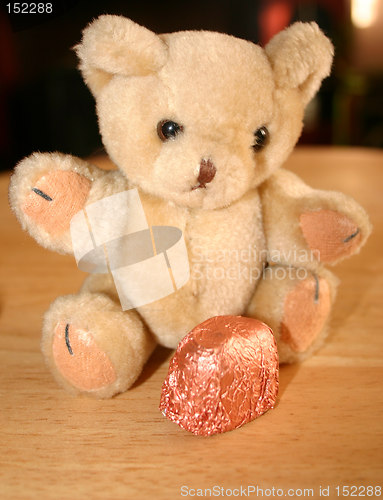 Image of teddy with its favourite chocolate