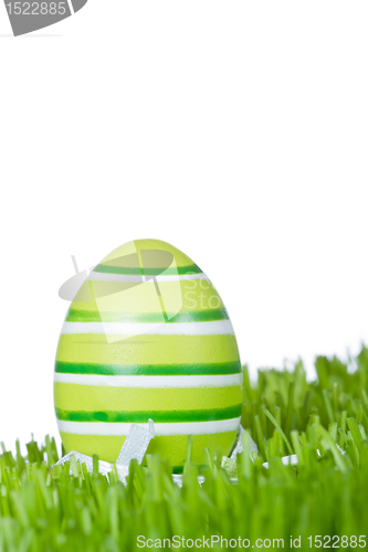 Image of easter egg in grass