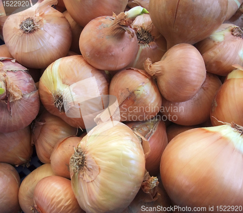 Image of full frame onions background