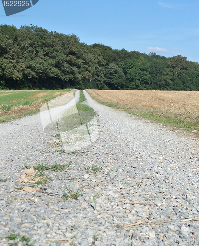 Image of field path