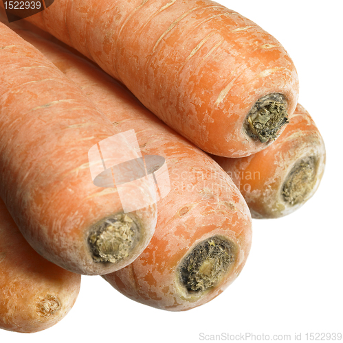 Image of carrots in white back