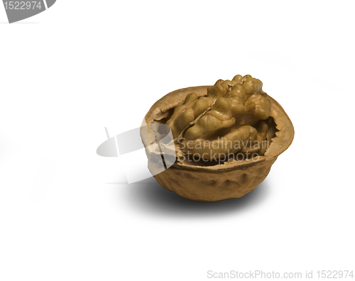 Image of open walnut