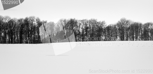 Image of forest and snow