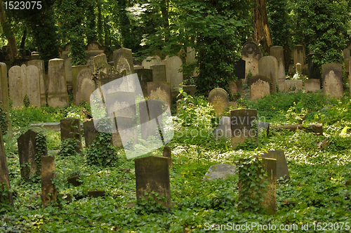 Image of idyllic old graveyard in Berlin