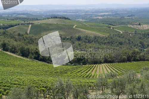 Image of Chianti in Tuscany