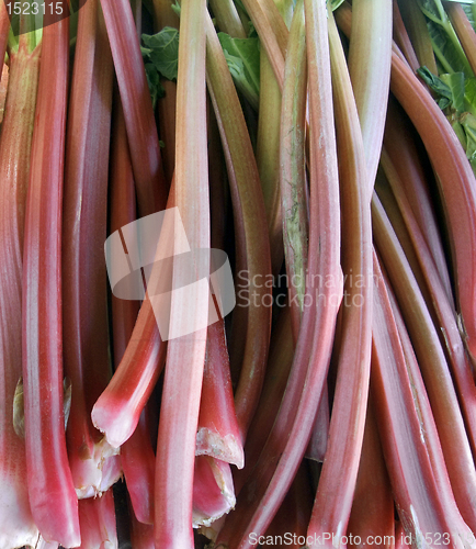 Image of rhubarb background