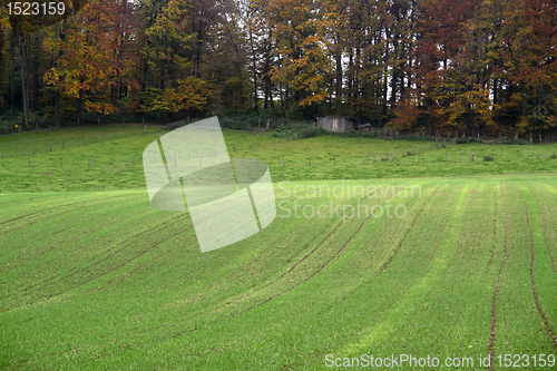 Image of rural autumn landscape near a forest