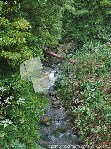 Image of little stream